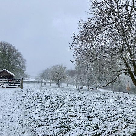Nachtegael Hoekhuis, Knusse Woning Met Prachtig Vergezicht Kluisbergen Esterno foto